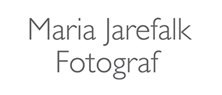 Min WordPress logo